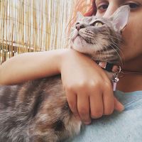 Effie Antoniadi的照片