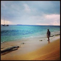 Fotos de Michael Heasman