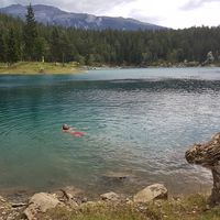 Louis Sparrow's Photo