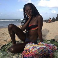 Daisy Flower的照片