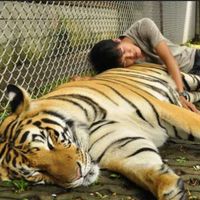 Teddy Thanaphol Jirapongbandit's Photo