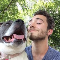 Matthew Lemay的照片