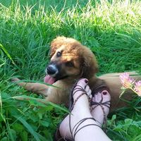 Charlotte Argant's Photo