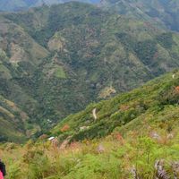 Maria Camila Estrada Florez's Photo