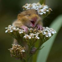 Natalia Jensen Komarova的照片