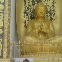 Cameron Paton的照片