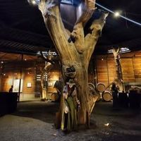 Samantha Salcedo's Photo