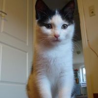 Valentin Bech's Photo