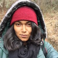 Lavanya Lavakumar's Photo