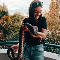 Femke Snoeck的照片