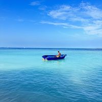 Mohamed Samir的照片