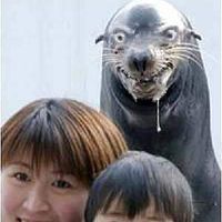 Danielle Theisen的照片