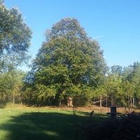 Daniel St-Arnault的照片