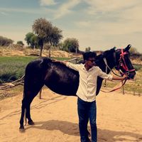 Anil Singh Rajpurohit's Photo