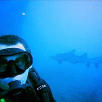 Fotos de Daniel Hyman