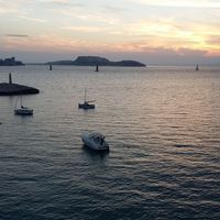 Mazen Al Halabi's Photo