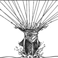 Renée Crittenden's Photo