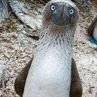 Agnieszka Szymańska's Photo