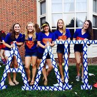 Joanna Harrold的照片