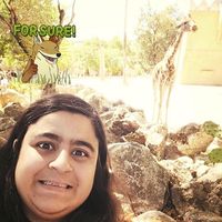 Фотографии пользователя Gizem Horatum