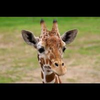 Hubert Skipirzepski's Photo