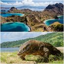 Explore Flores & Komodo Islands's picture