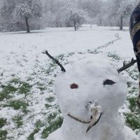 Fotos de Erick  Frota Almeida