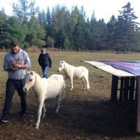 Eleftherios Kokkonis's Photo