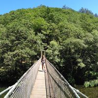 Paniz mousavi's Photo