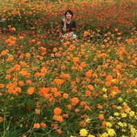 Photos de Chie Maekawa