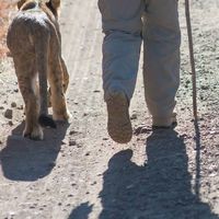 Francesco Albiero's Photo