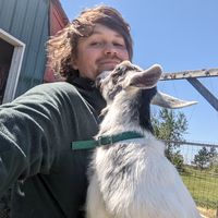 Jamie Beecham的照片