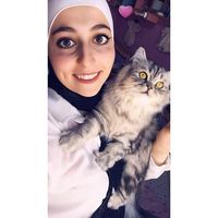 Hiba Al-shayeb's Photo