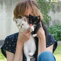 Fotos de Denise Gallo