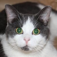 Michael Rabe的照片