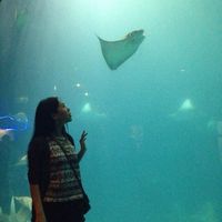 Madina Indibayeva的照片