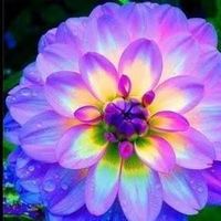 Mariah Fernanda's Photo