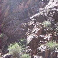 Kristin Brown's Photo