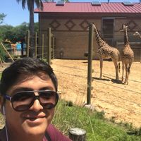 Fotos de Diego Galarza Alcócer