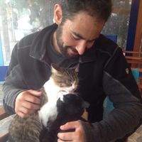 Фотографии пользователя Brendan Walker