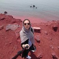 Azita M's Photo