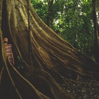 Magí Ribot的照片