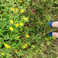 Fotos de KEREN TOLEDO