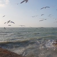 Fotos von Behzad Rad