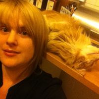 Фотографии пользователя Li Mei