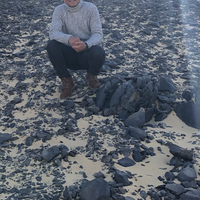 Hosam Shahata's Photo