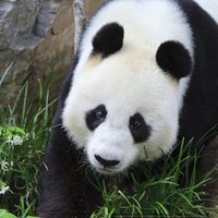 Klaudia Czekaj's Photo