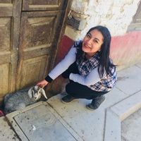 Betsy Flores Sinti's Photo