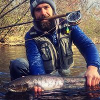 Fotos de Nick Krichew