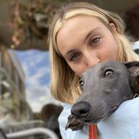 Georgie Wells的照片